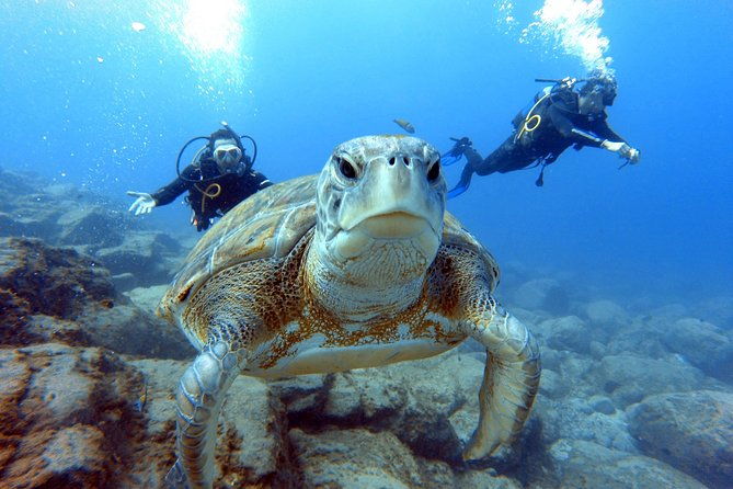 padi-scuba-dive-course-in-costa-adeje