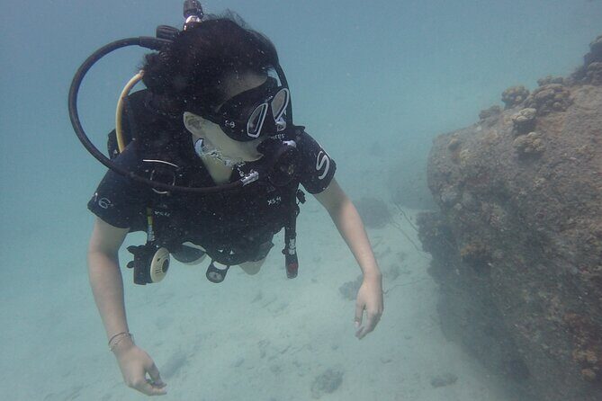 PADI Scuba Diver course for beginners Two days one night accommodation included - What We Loved About This Tour