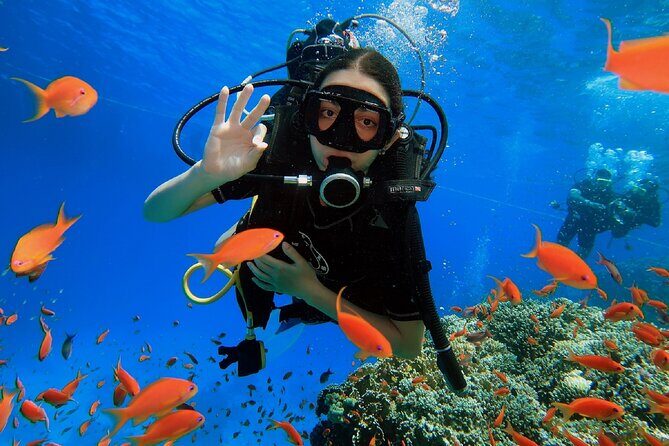 PADI Scuba Diver (PSD) - Key Points