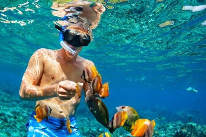 PADI Scuba Diver (PSD) - Practical Tips for Your Trip