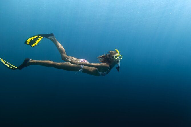PADI Skin Diver (Snorkeling) - One Day Program - FAQs