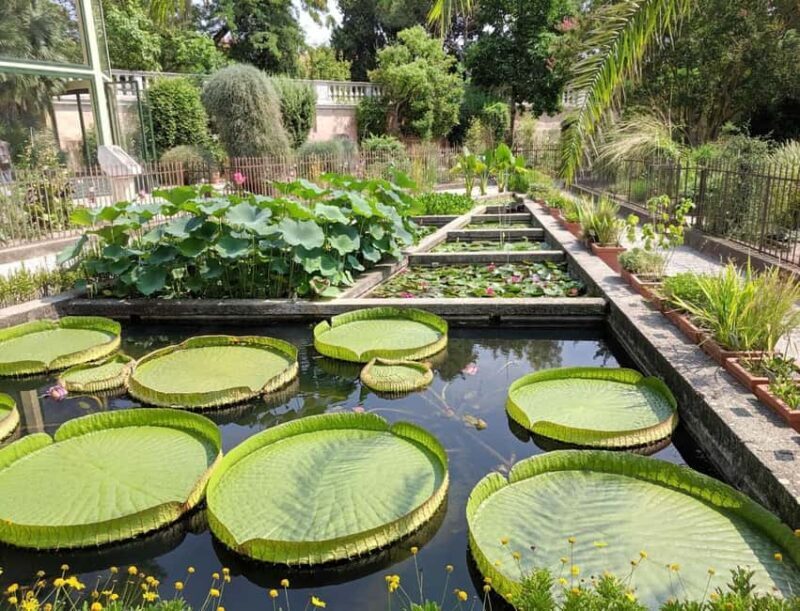 Padua Botanical Garden: Sacred Architecture and Plant Intelligence - Key Points