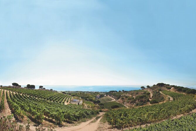 paella-cooking-experience-winery-tour-from-barcelona-3