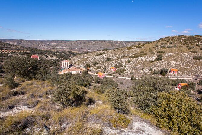 paella-olive-oil-wine-relax-in-rural-estate-outside-madrid