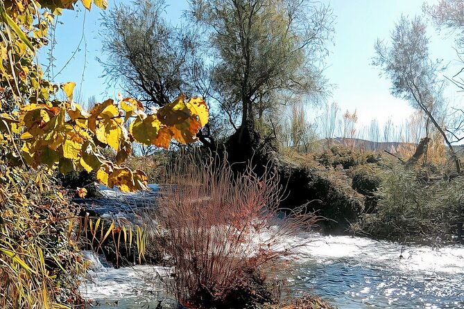 paella-olive-oil-wine-relax-in-rural-estate-outside-madrid