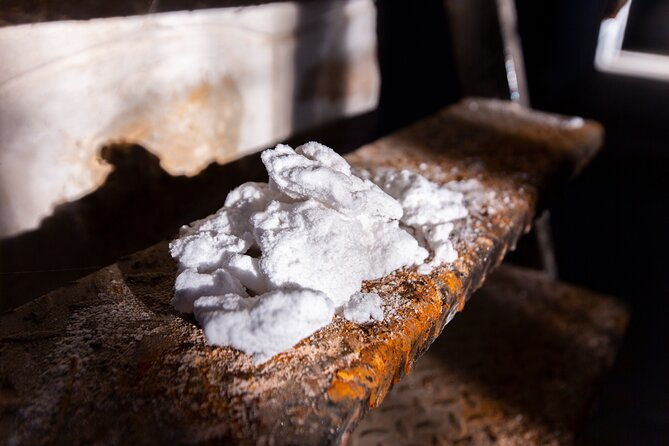 paella-olive-oil-wine-relax-in-rural-estate-outside-madrid