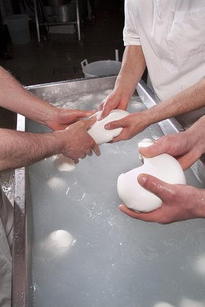 paestum-and-mozzarella-farm-experience