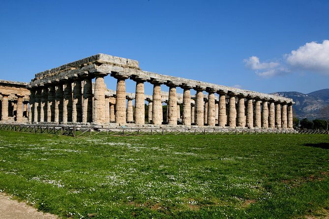 paestum-buffalo-mozzarella-tasting-and-light-lunch-private-tour