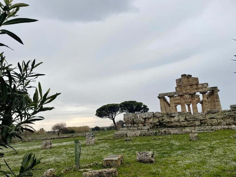 Paestum for cruise passengers - Discovering Paestum: A Jewel of Italy’s Cilento Region  