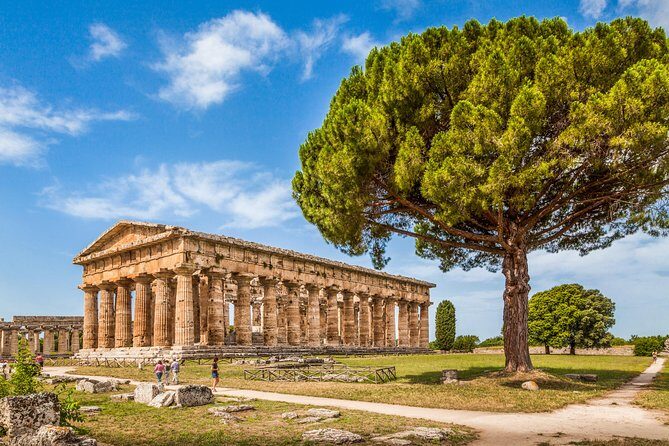 Paestum: Private Tour of Greek Temples and Archaeological Museum - Who Should Book This Tour?