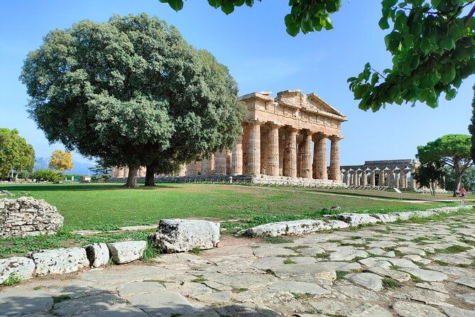 paestum-traditions-buffaloes-ceramics-temples-2