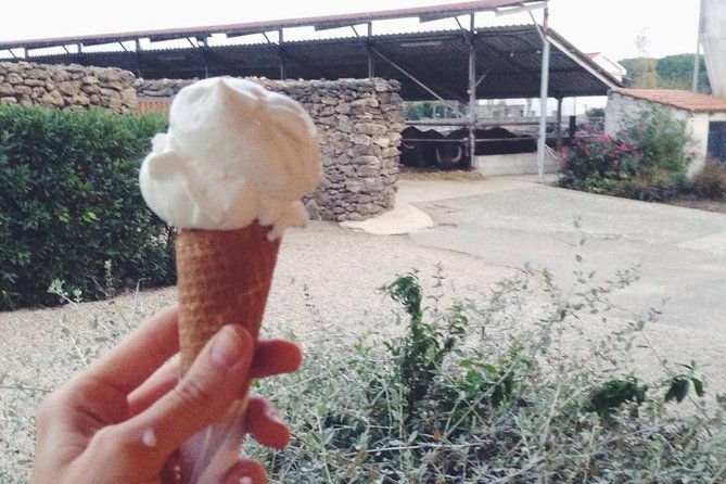 paestum-traditions-buffaloes-ceramics-temples