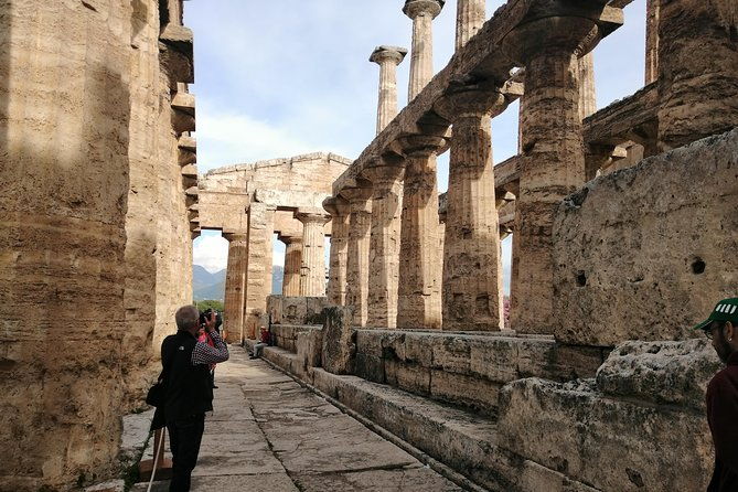 paestum-traditions-buffaloes-ceramics-temples