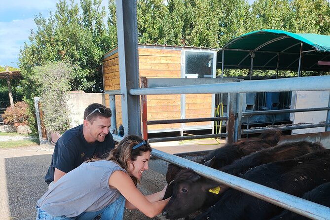 paestum-traditions-buffaloes-ceramics-temples