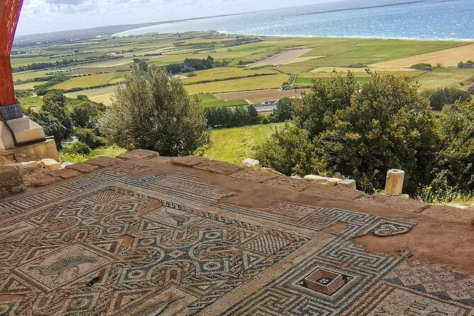 pafos-archaeology-beauty-tour-from-limassol