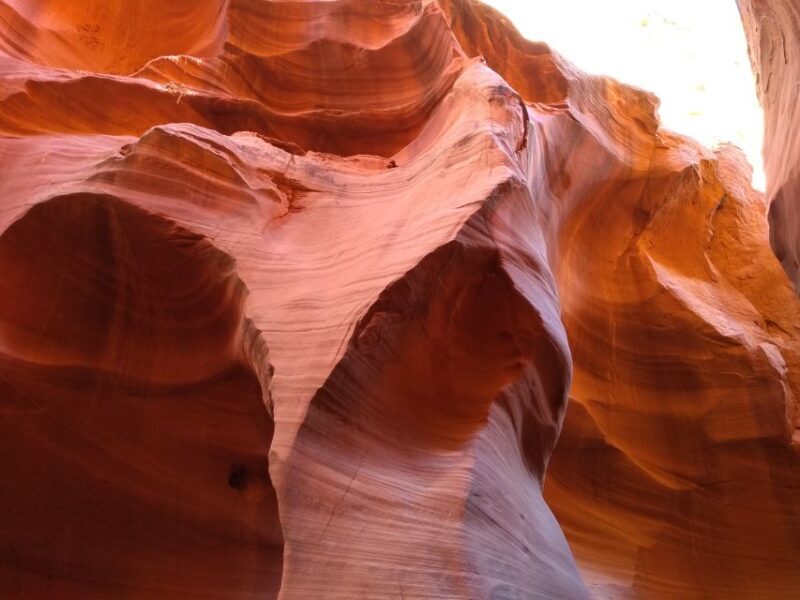 Page: Lower Antelope Canyon Entry and Navajo Guided Tour - Who Is This Tour Best For?