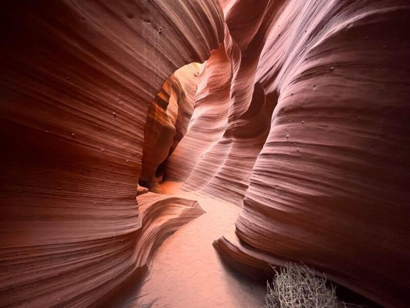 page-traditional-navajo-hogan-stay-antelope-canyon-tour