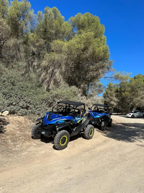paguera-2-hour-buggy-tour