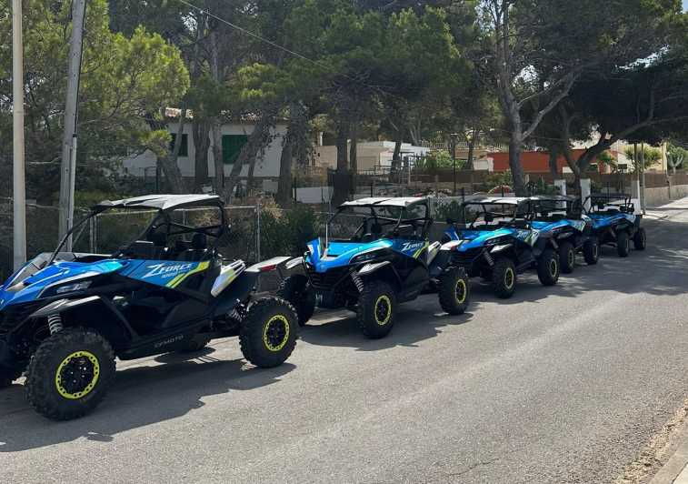 paguera-2-hour-buggy-tour