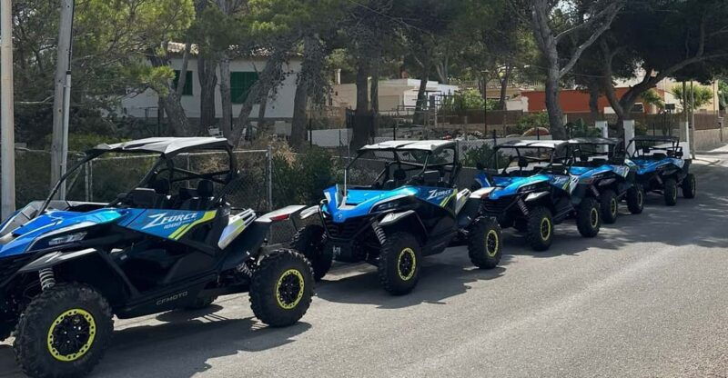 paguera-2-hour-buggy-tour