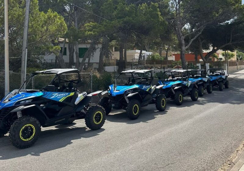 paguera-malgrats-island-and-sant-elm-buggy-tour