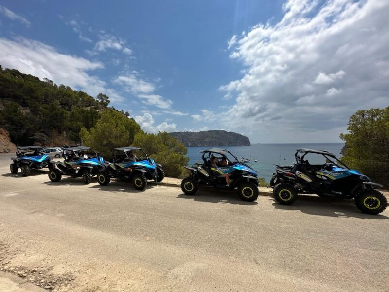 paguera-malgrats-island-and-sant-elm-buggy-tour