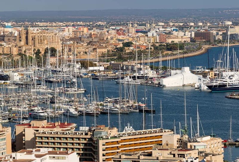 Paguera or Santa Ponsa: Speedboat Cruise to Palma - What Is the Paguera or Santa Ponsa: Speedboat Cruise to Palma?  
