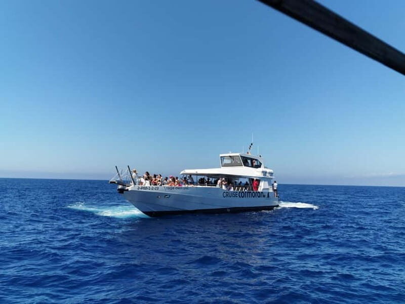 Paguera or Santa Ponsa: Speedboat Cruise to Palma - The Itinerary Breakdown: What to Expect  