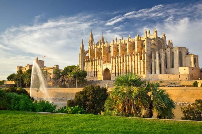 Paguera or Santa Ponsa: Speedboat Cruise to Palma - Things to Keep in Mind  