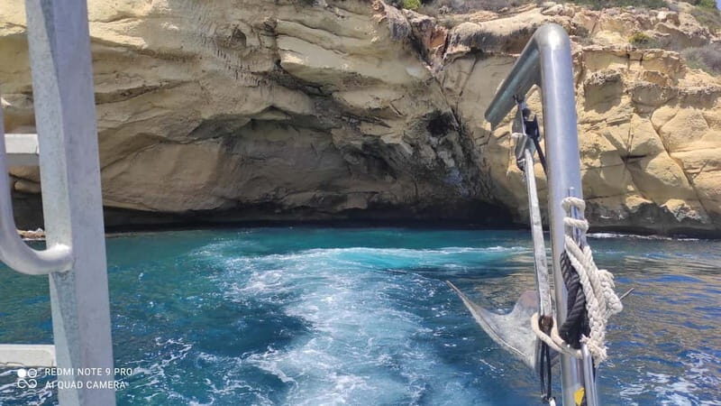 Paguera or Santa Ponsa: Speedboat Cruise to Palma - Final Thoughts  