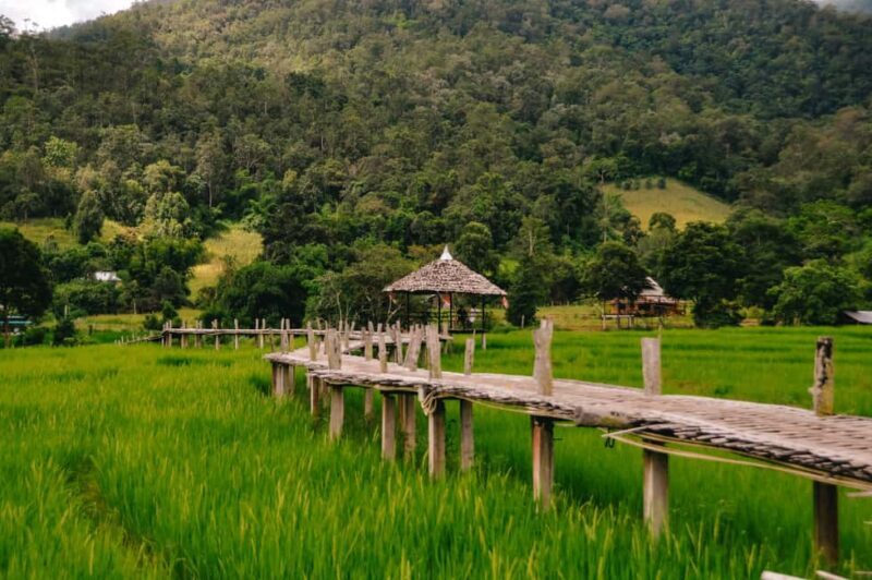 Pai: Bamboo Bridge, Yun Lai Viewpoint, & Waterfall Tour - FAQ