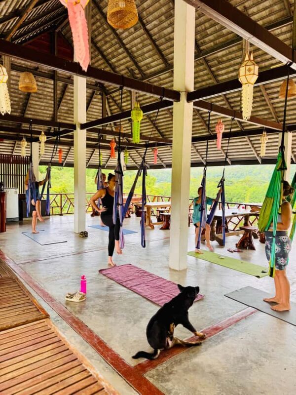 Pai: Sunset Trapeze Yoga Class with Smoothie - Key Points