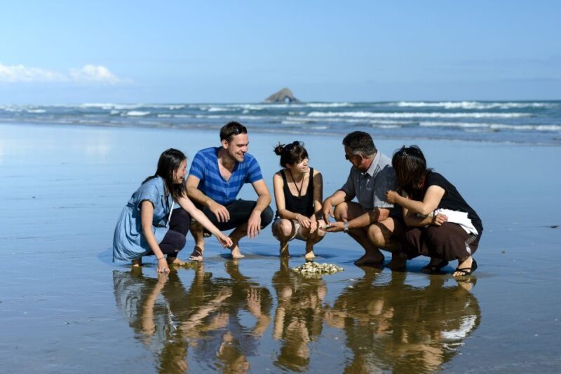Paihia: Cape Reinga and Ninety Mile Beach Trip with Lunch - An In-Depth Look at the Tour Experience