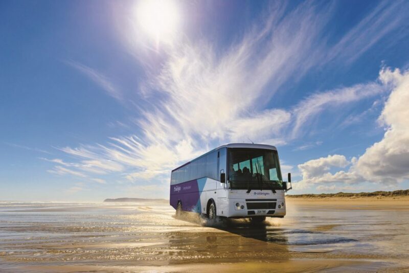 Paihia: Cape Reinga and Ninety Mile Beach Trip with Lunch - The Sum Up