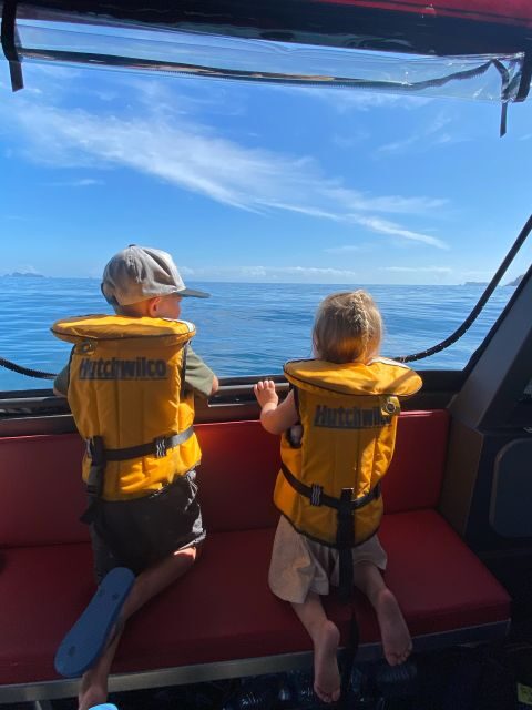 Paihia: Glass Bottom Boat Tour to the Hole in the Rock - Key Points