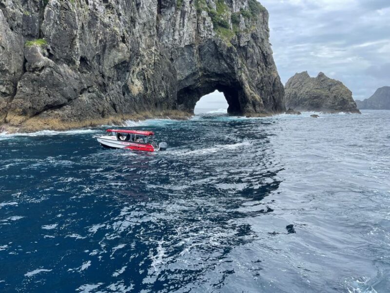Paihia: Glass Bottom Boat Tour to the Hole in the Rock - The Experience and Practicalities
