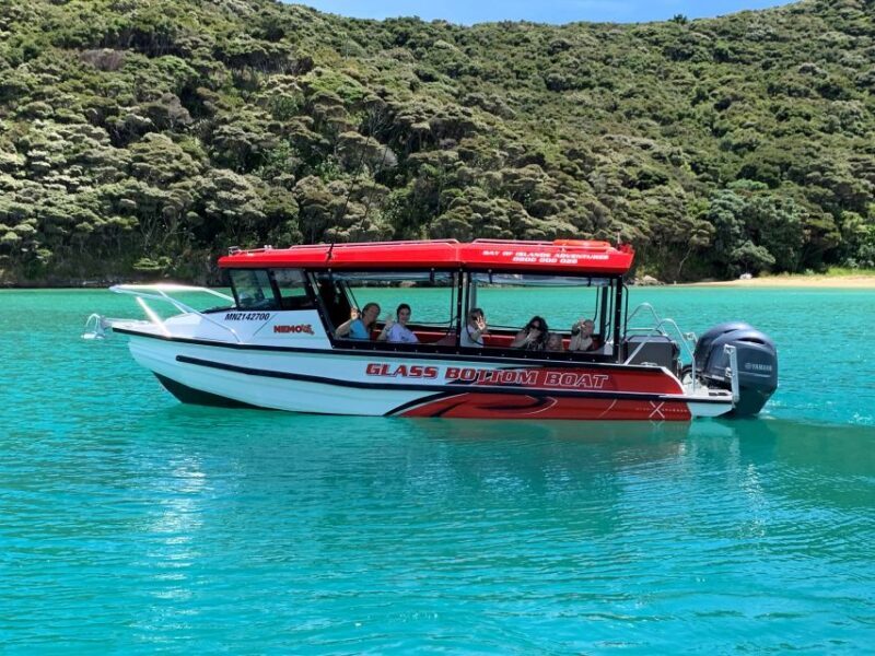 Paihia: Glass Bottom Boat Tour to the Hole in the Rock - Authentic Guest Insights