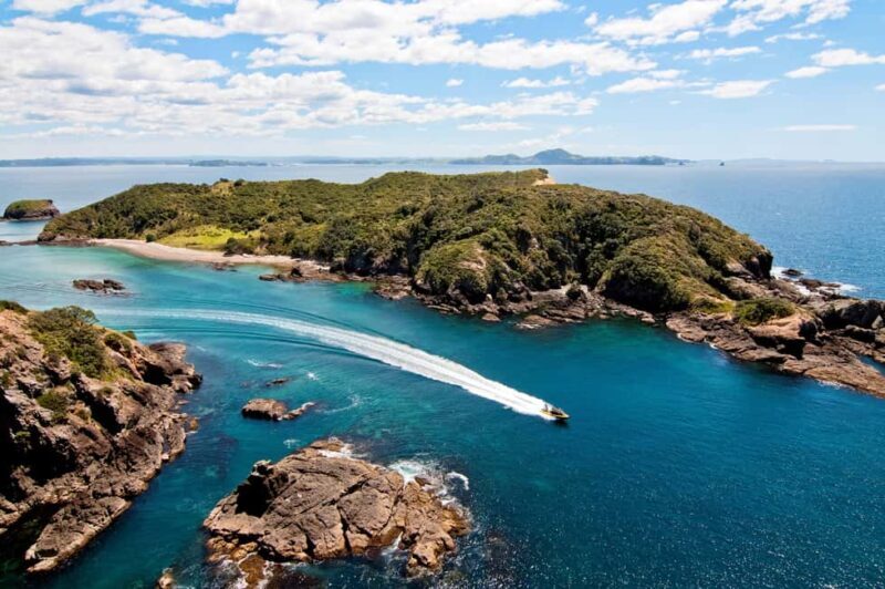 Paihia: Hole in the Rock Fast Boat Ocean Adventure - Final thoughts