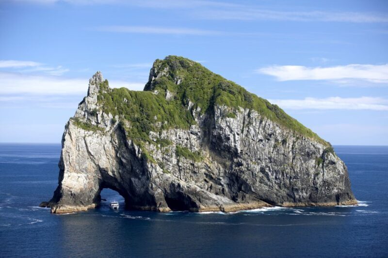 Paihia/Russell: Hole in the Rock and Bay of Islands Cruise - The boat experience