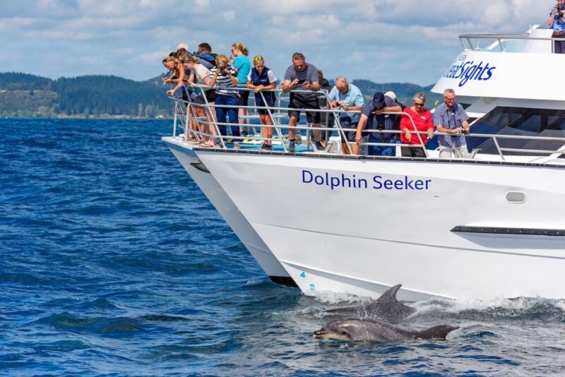 Paihia/Russell: Hole in the Rock and Bay of Islands Cruise - The Sum Up
