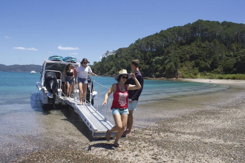 Paihia/Russell: Hole in the Rock Cruise with 2 Island Stops - Key Points