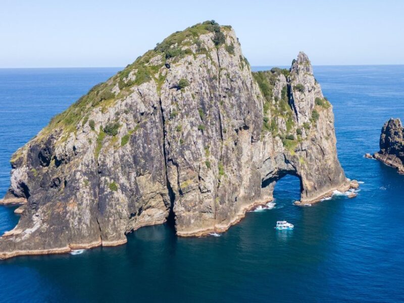 Paihia/Russell: Hole in the Rock Cruise with 2 Island Stops - Practical Details and Tips