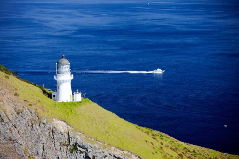 Paihia/Russell: Hole in the Rock, Dolphins & Island Cruise - The Sum Up: Who Is This Tour Perfect For?