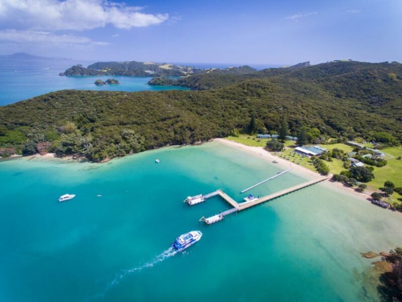 Paihia/Russell: Hole in the Rock, Dolphins & Island Cruise - FAQ