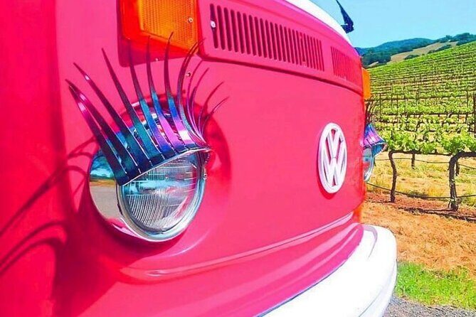 Painted Ladies Wine Country Tour - Practical Tips for Travelers