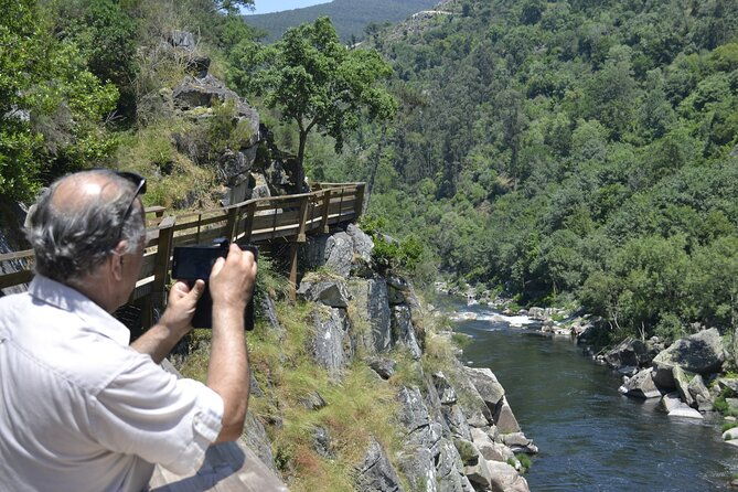 paiva-walkways-and-alvarenga-small-group-from-porto