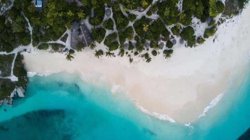 Paje Beach, Lunch at The Rock Restaurant, Mnemba Snorkeling - Introduction to the Tour