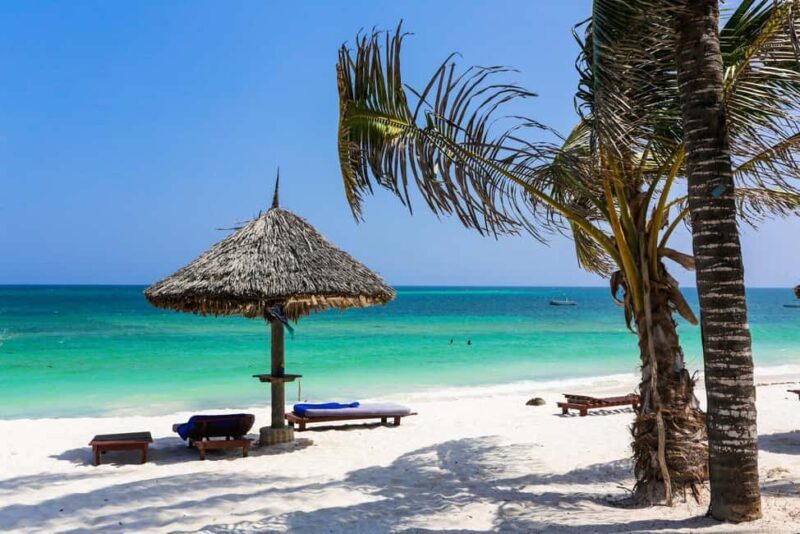 Paje Beach Tour, Lunch at The Rock, Mnemba Dolphin Tour - Introduction: A Day Packed with Variety and Authentic Zanzibar Experiences