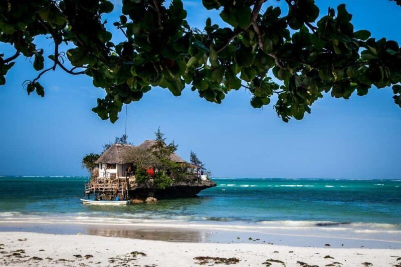 Paje Beach Tour, Lunch at The Rock, Mnemba Dolphin Tour - Final Thoughts