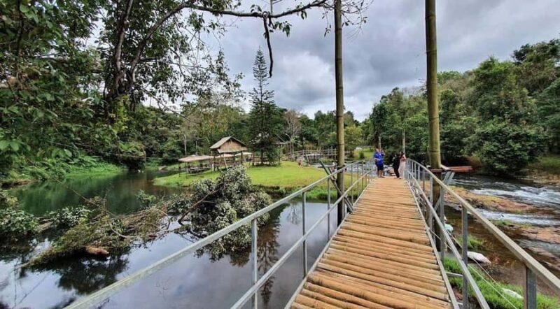 Pakse: Visit Bolaven Plateau+Tad Fane & Tad Yuang Waterfalls - An In-Depth Look at the Tour Experience